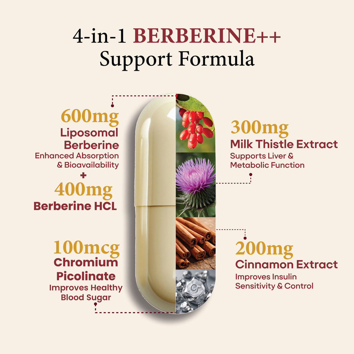 Active Foods Berberine++ Advanced Metabolic Support Capsules One Bottle