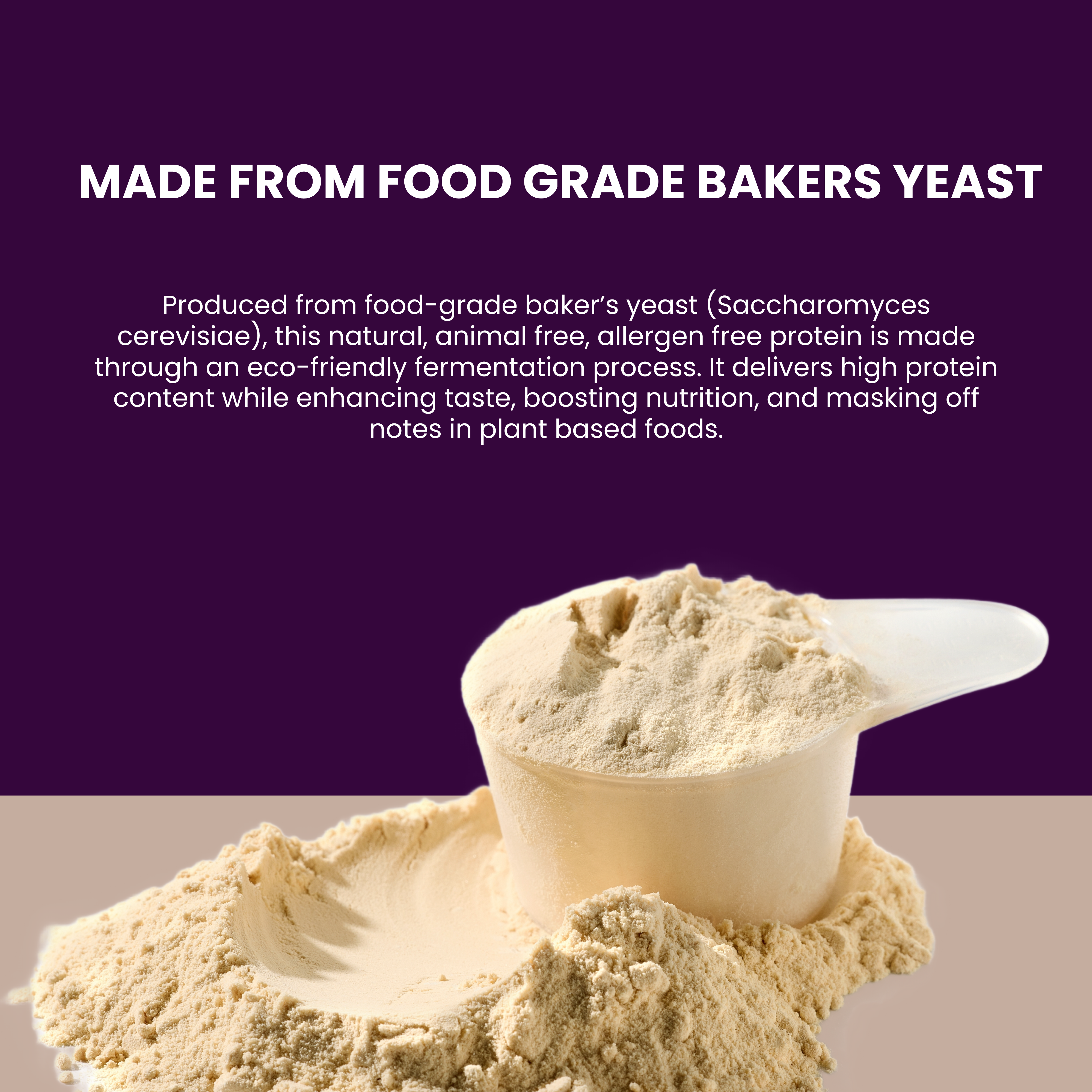 Sugar.fit Unflavoured Yeast Protein Powder with 24g Protein