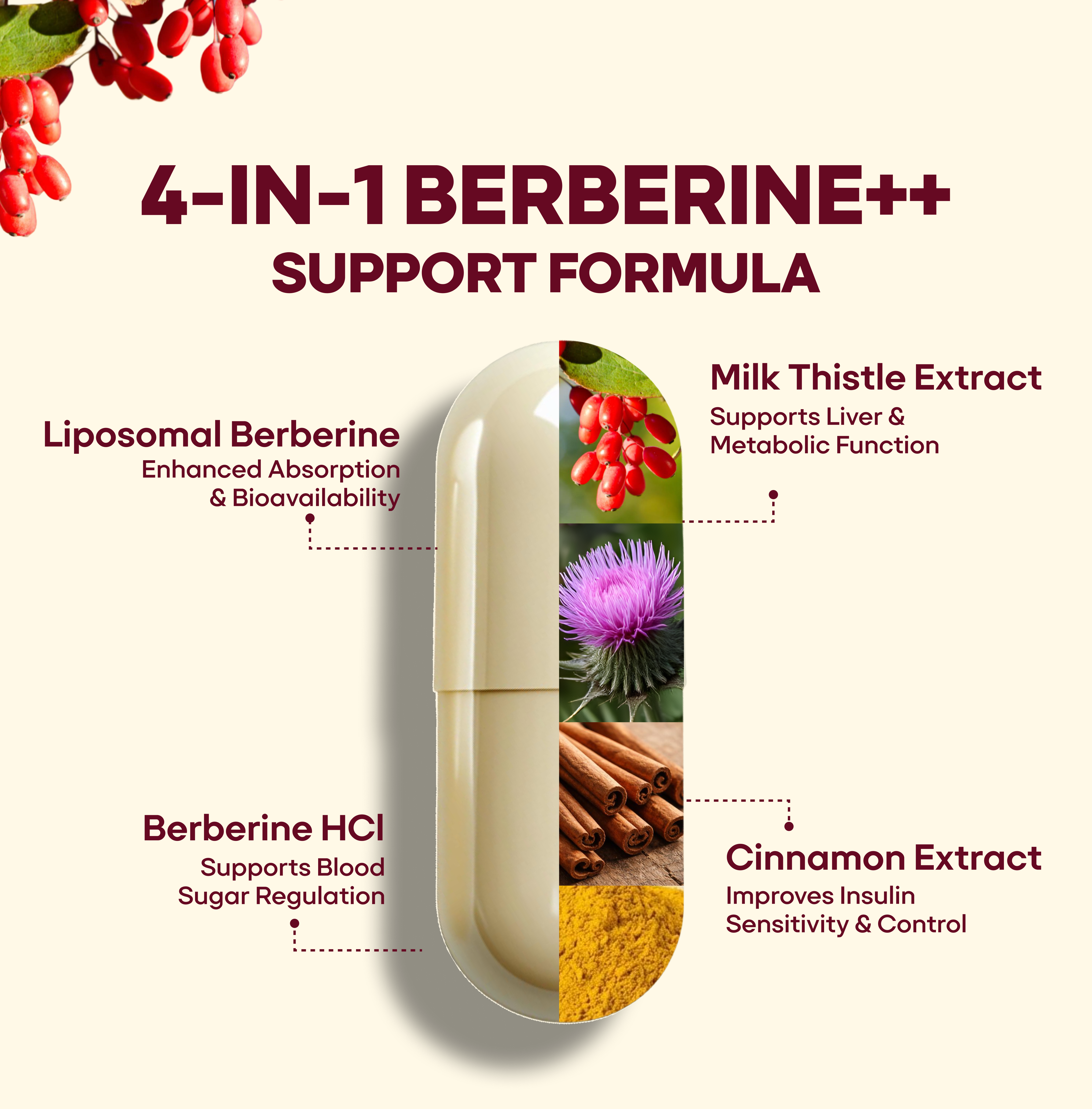 Active Foods Berberine++ Advanced Metabolic Support Capsules