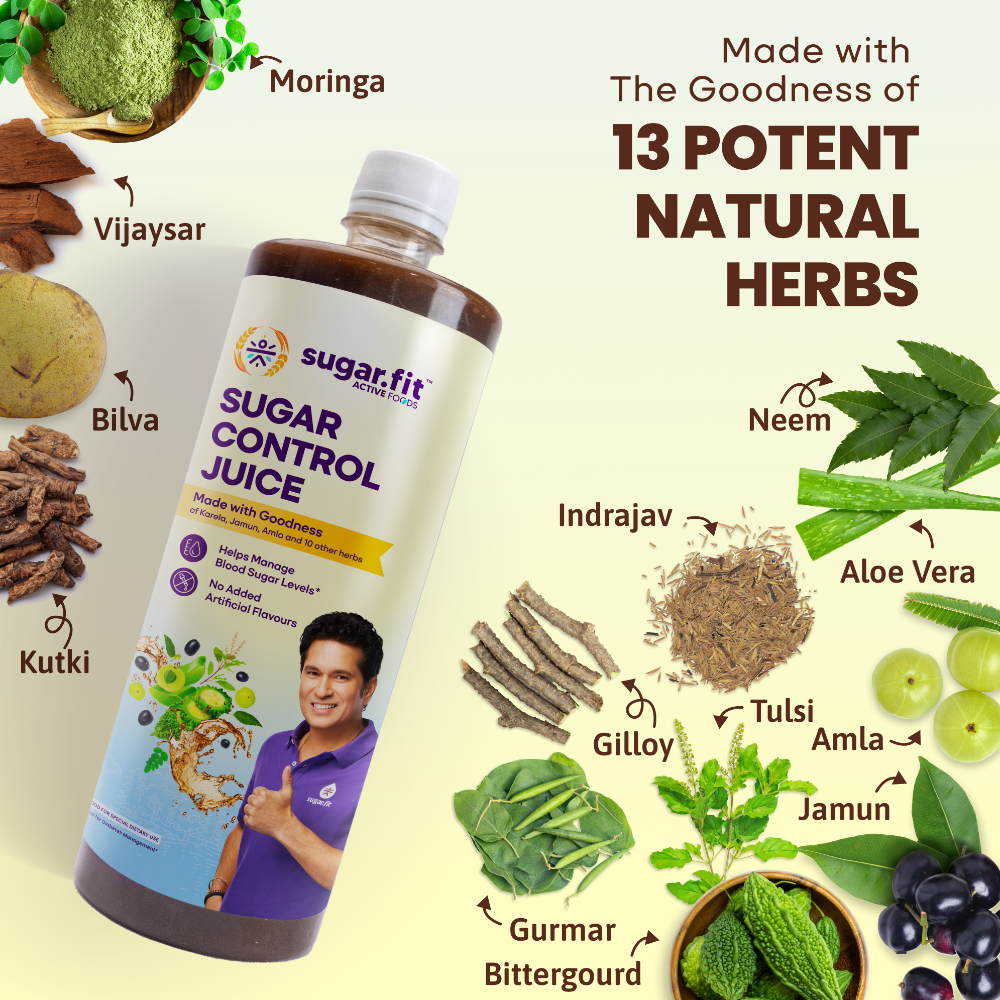 Sugar Control Juice with 13 Potent Herbs